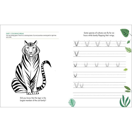 Print Penmanship Workbook for Kids